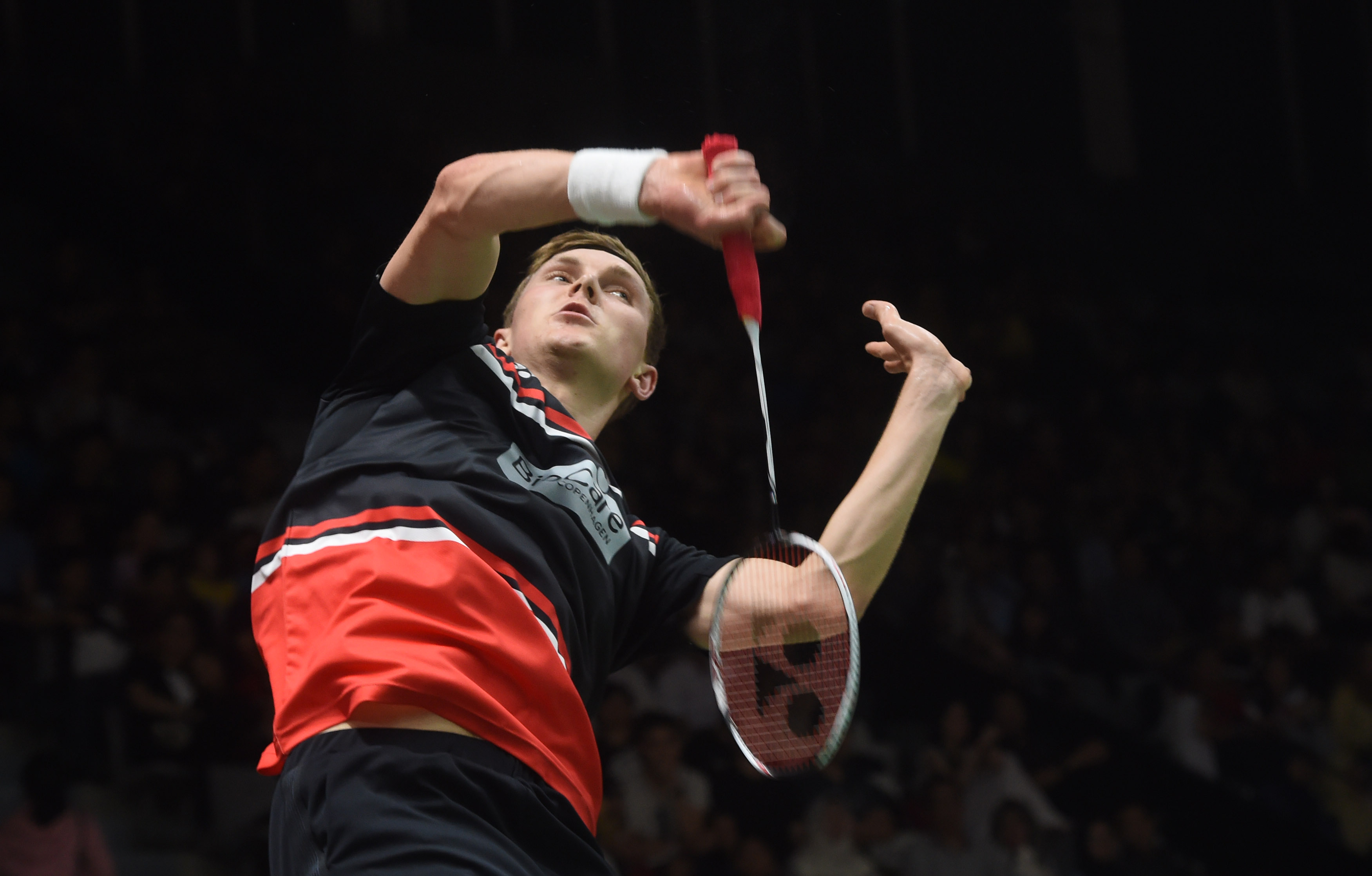 这句话不仅 这句话不仅