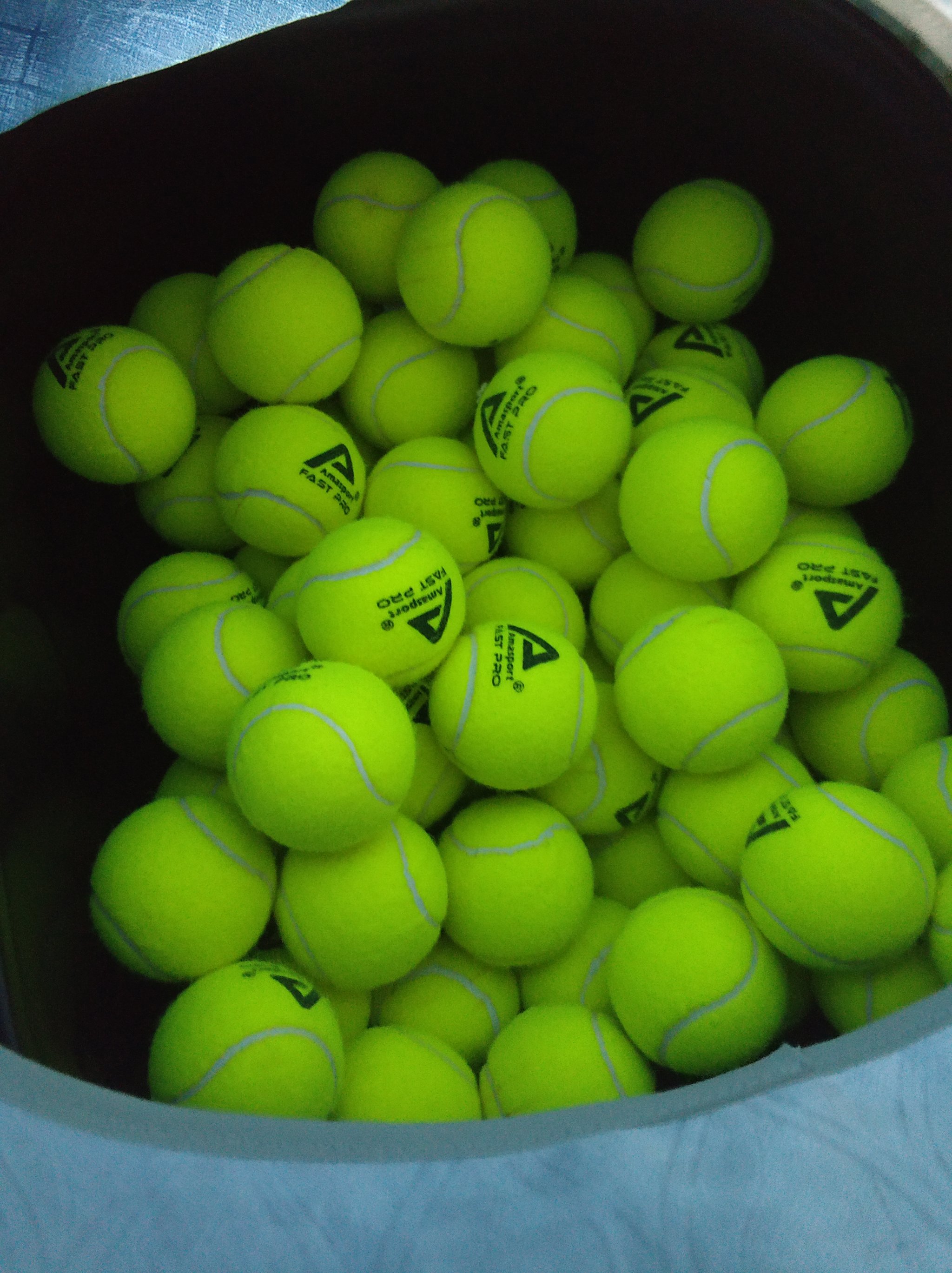 奠定了坚实 奠定了坚实