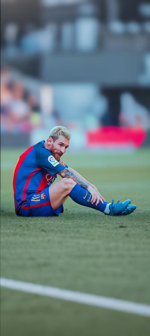 公牛瞄准萨 公牛瞄准萨